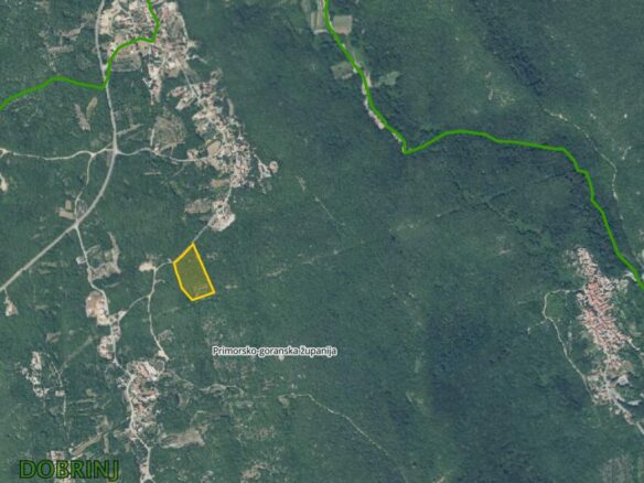 Private Mediterranean Forest Estate – 12,000 M² Land On Krk Island, Croatia
