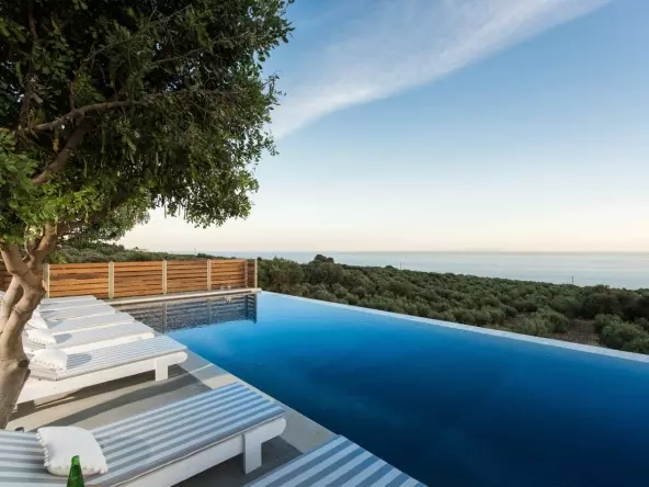 ead7a36f-5216-47a5-baa9-a42ba5e43d2f-592×444