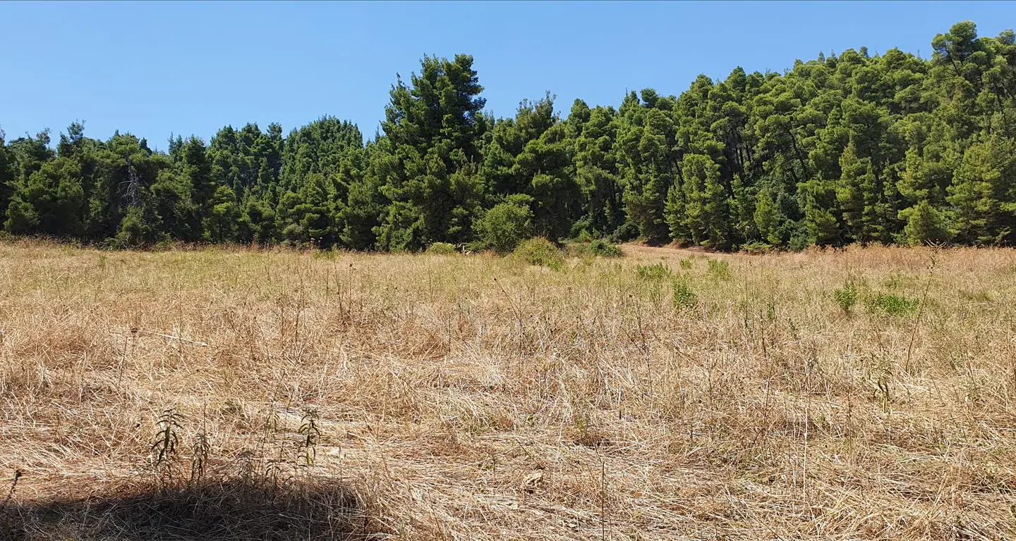 Land Of 4668 M² In Kassandra, Chalkidiki