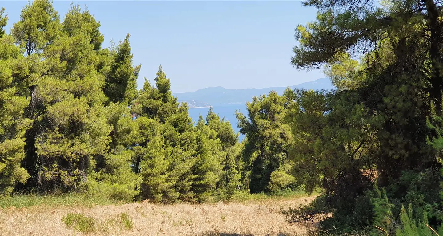 Land Of 4668 M² In Kassandra, Chalkidiki