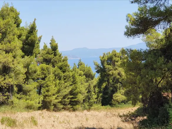 Land In Kassandra, Greece