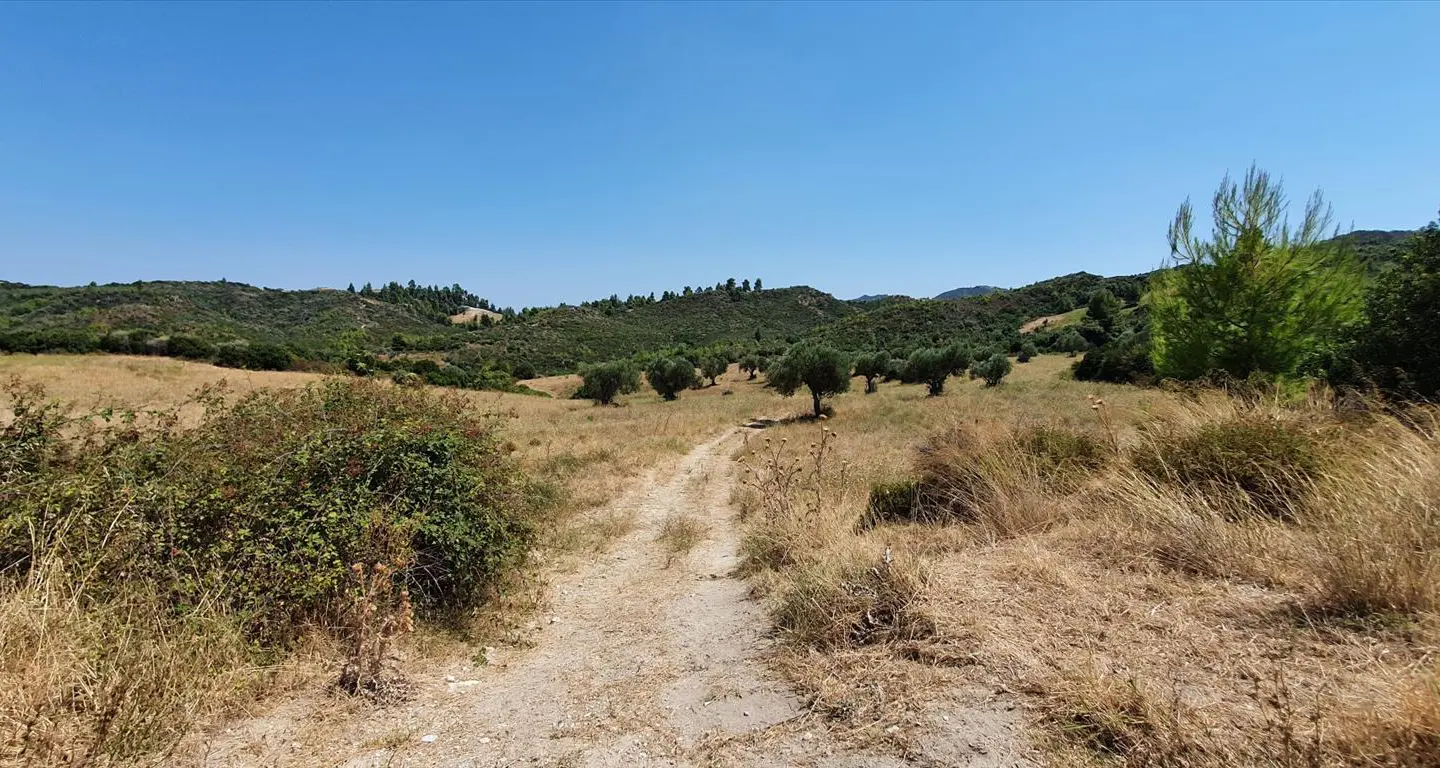 Land Of 30000 M² In Kassandra, Chalkidiki