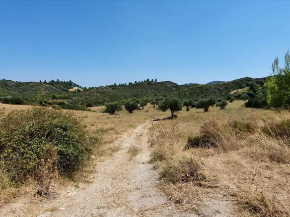 Land In Kassandra, Greece