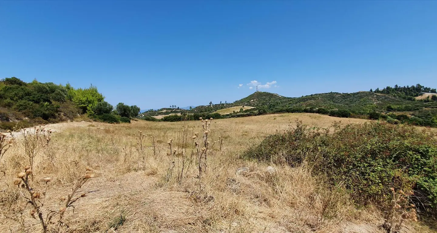 Land Of 30000 M² In Kassandra, Chalkidiki