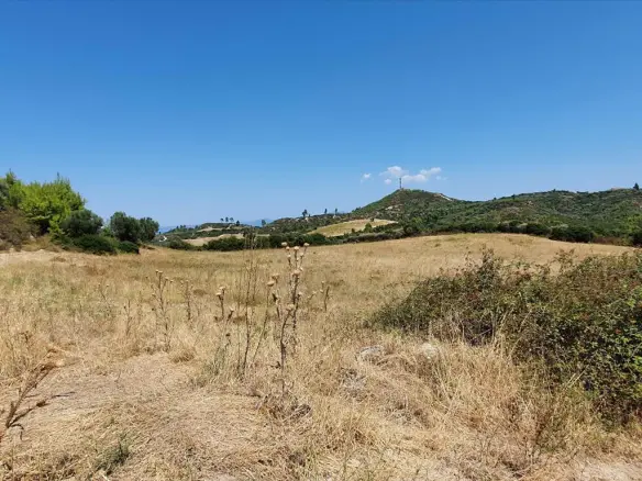 Land In Kassandra, Greece