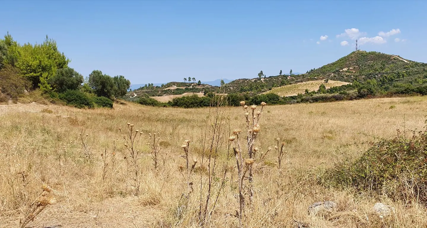 Land Of 30000 M² In Kassandra, Chalkidiki