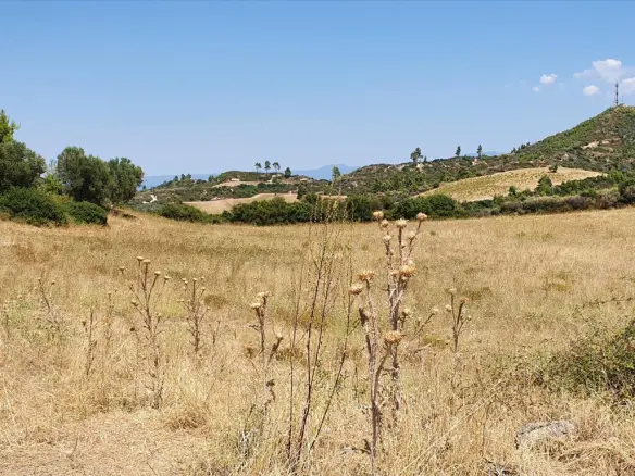 Land In Kassandra, Greece