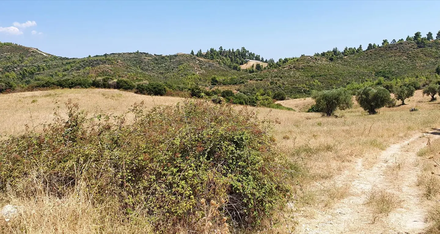 Land Of 30000 M² In Kassandra, Chalkidiki