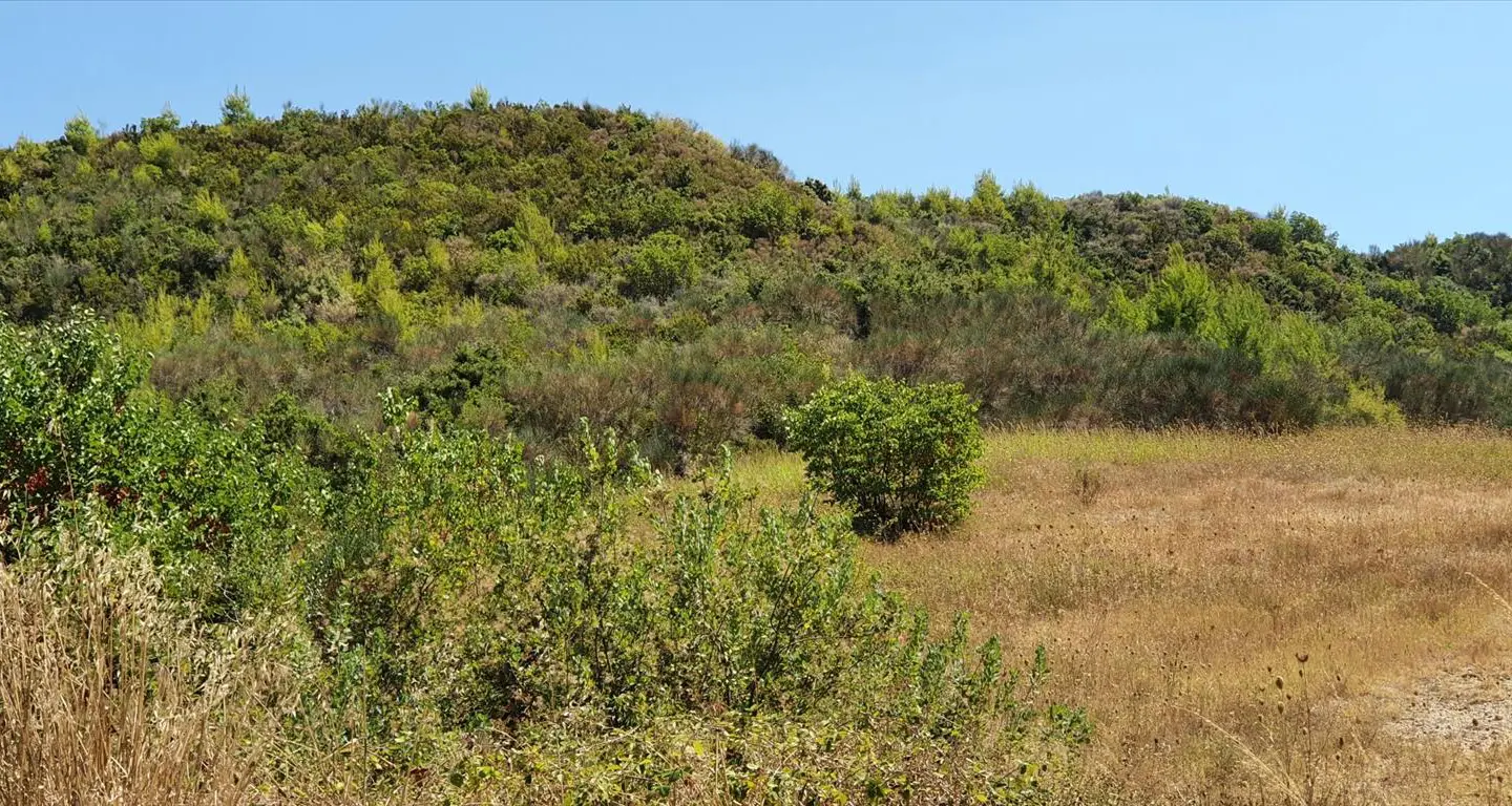 Land Of 10250 M² In Kassandra, Chalkidiki