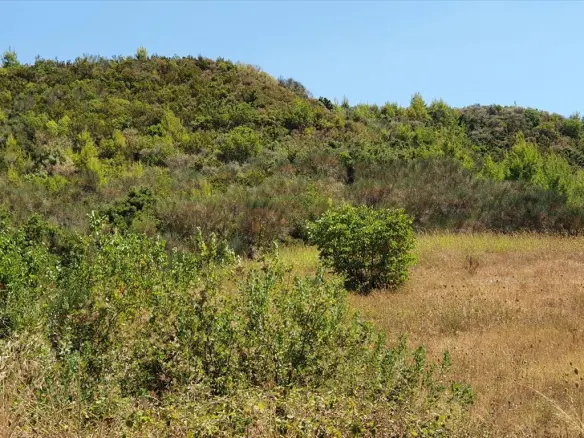 Land In Kassandra, Greece