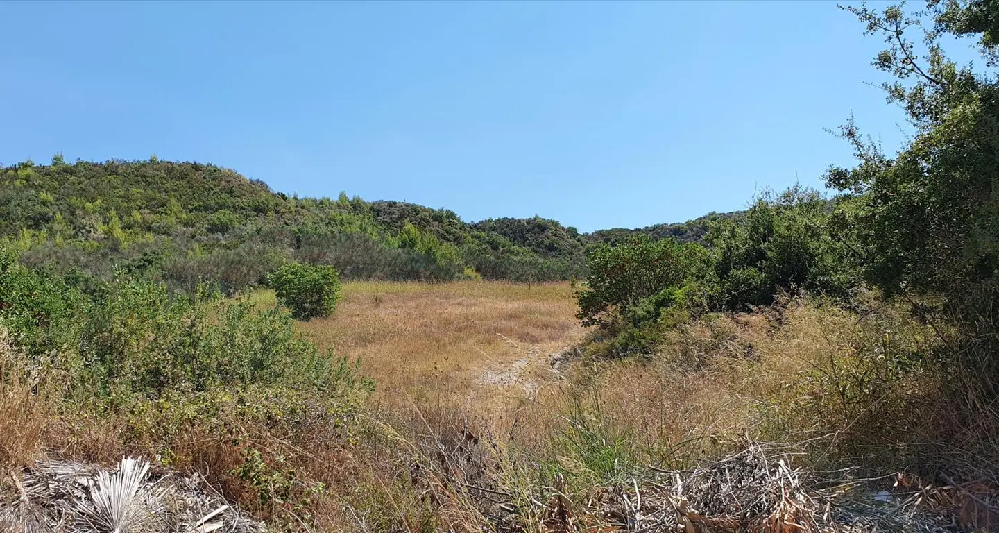 Land Of 10250 M² In Kassandra, Chalkidiki