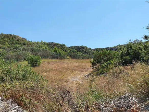 Land In Kassandra, Greece
