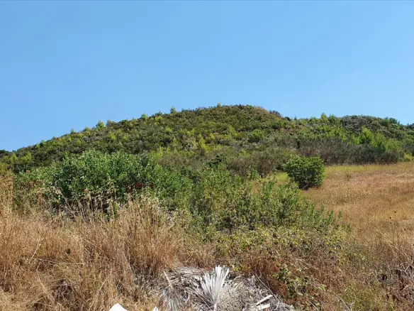 Land In Kassandra, Greece