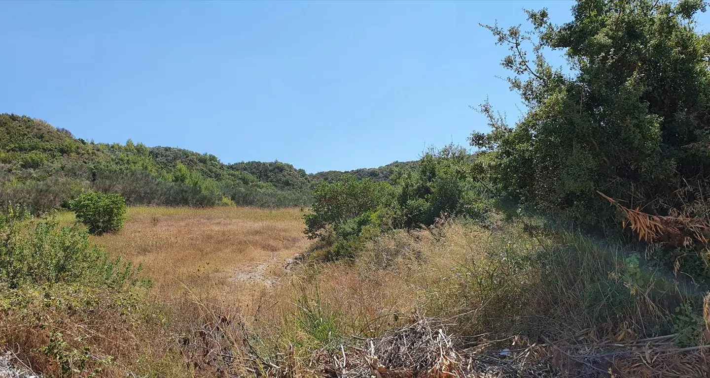 Land Of 10250 M² In Kassandra, Chalkidiki