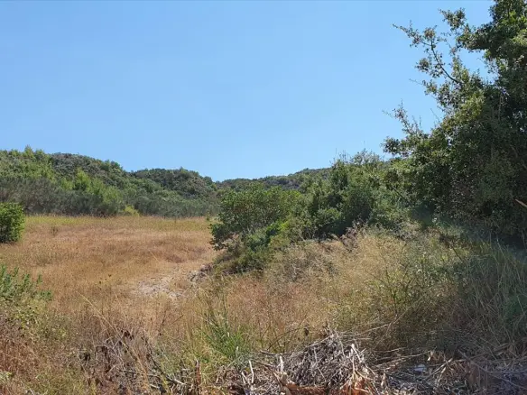 Land In Kassandra, Greece