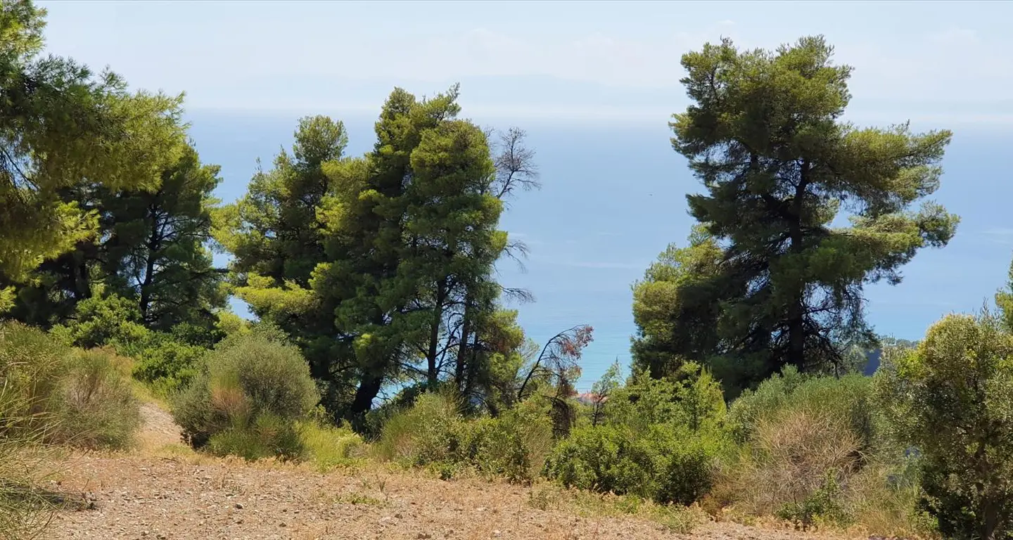 Land Of 7700 M² In Kassandra, Chalkidiki