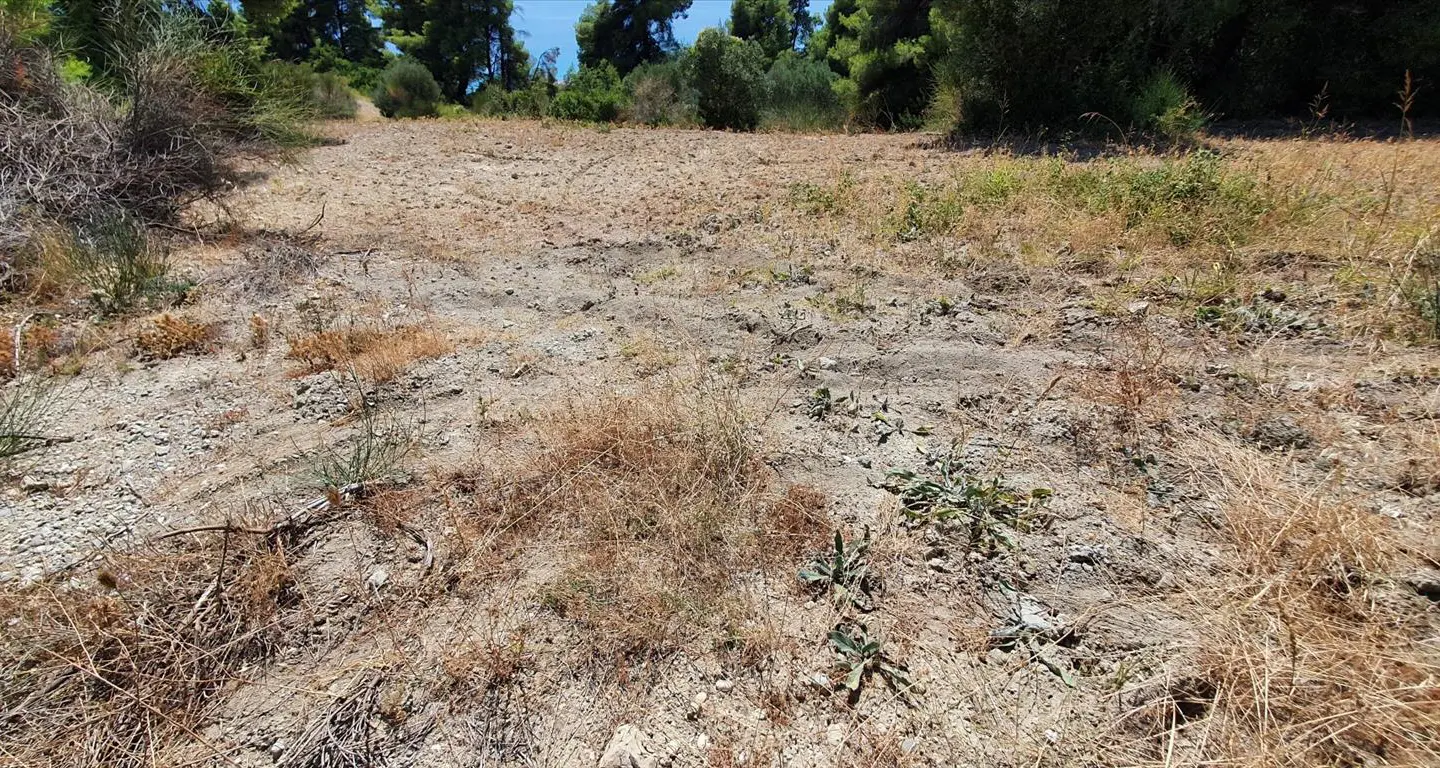 Land Of 7700 M² In Kassandra, Chalkidiki