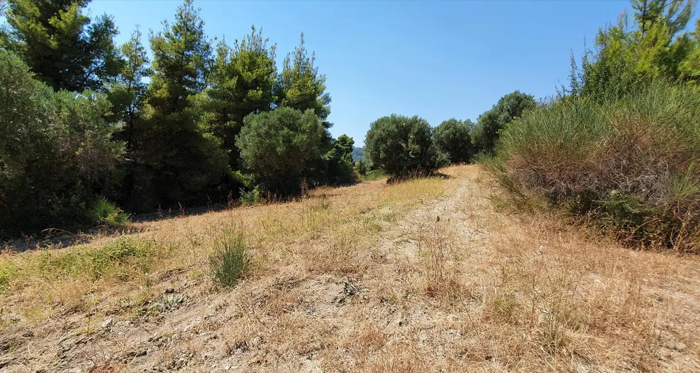 Land Of 7700 M² In Kassandra, Chalkidiki