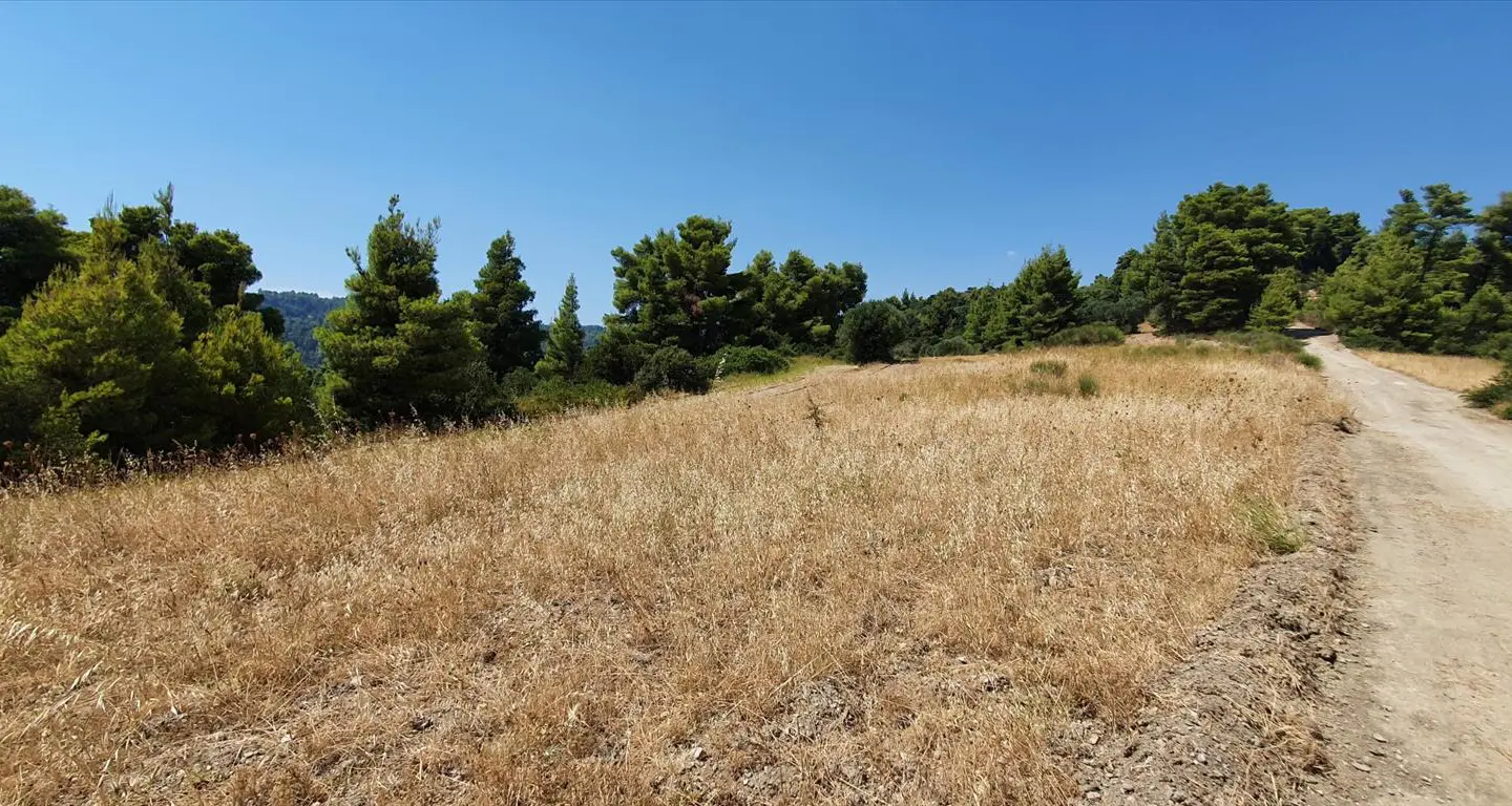 Land Of 7700 M² In Kassandra, Chalkidiki