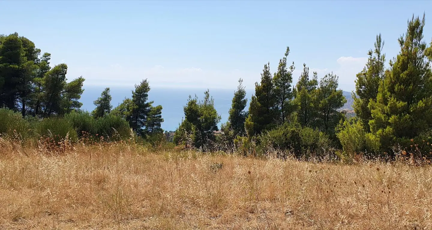 Land Of 7700 M² In Kassandra, Chalkidiki