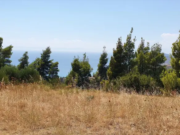 Land In Kassandra, Greece