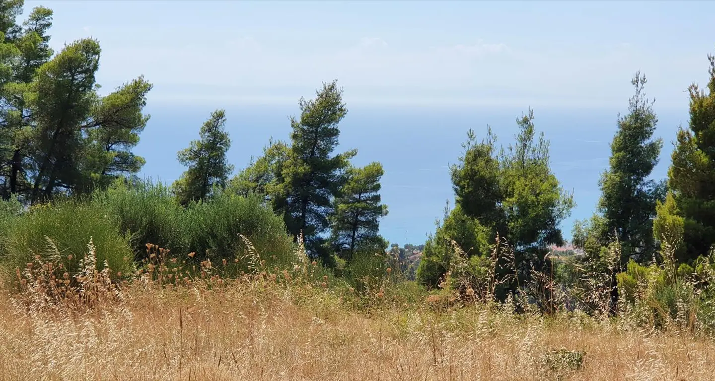 Land Of 7700 M² In Kassandra, Chalkidiki
