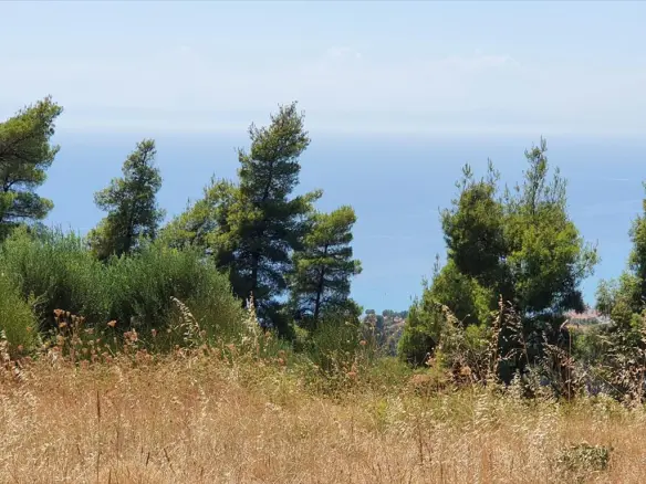 Land In Kassandra, Greece