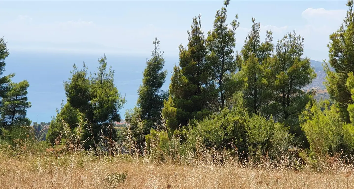 Land Of 7700 M² In Kassandra, Chalkidiki