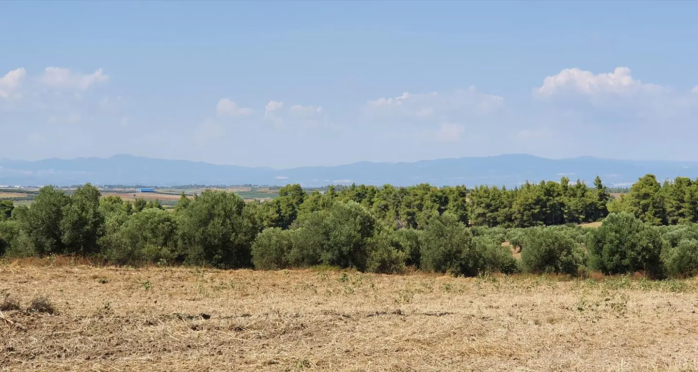 Land Of 30000 M² In Kassandra, Chalkidiki