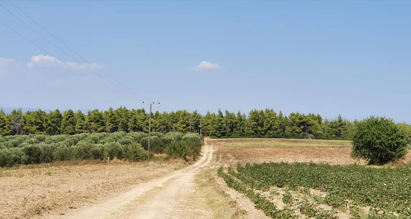 Land Of 30000 M² In Kassandra, Chalkidiki