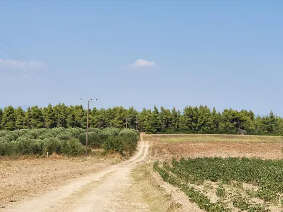 Land In Kassandra, Greece