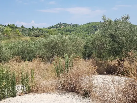 Land Of 3255 M² In Kassandra, Chalkidiki