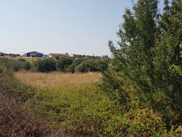 Land Of 3255 M² In Kassandra, Chalkidiki