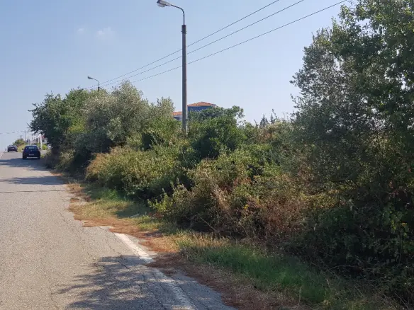 Land Of 3255 M² In Kassandra, Chalkidiki