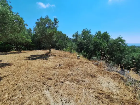 Land In Corfu, Greece