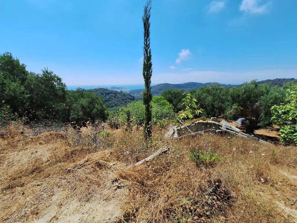 Land In Corfu, Greece