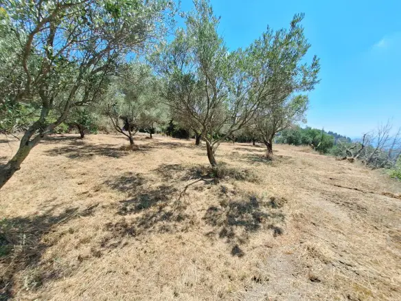 Land In Corfu, Greece