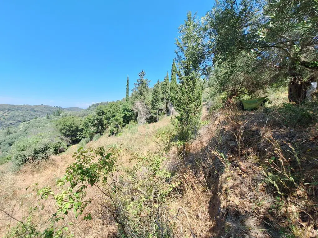 Land In Corfu, Greece