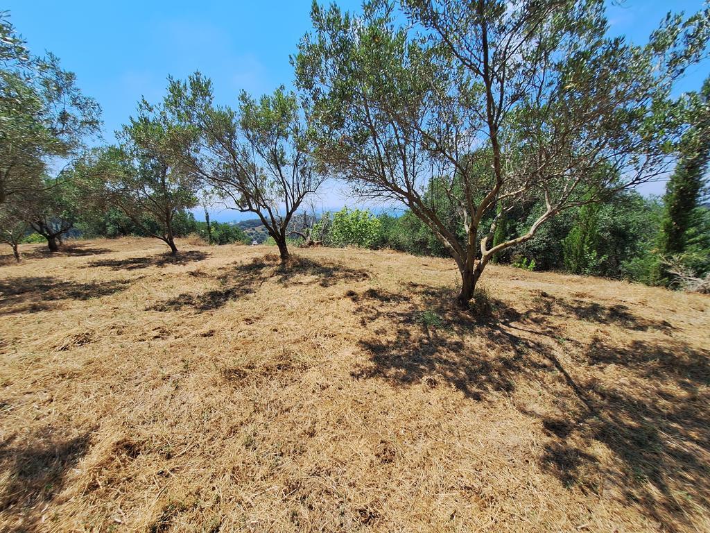 Land In Corfu, Greece