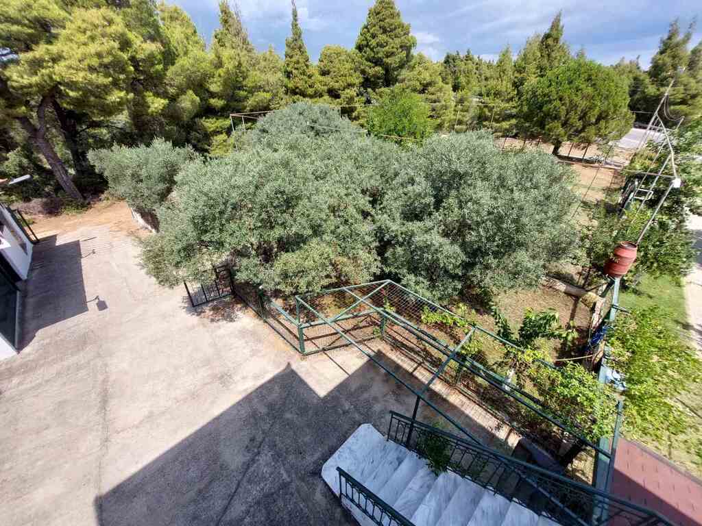Detached House In Sithonia, Greece (160 M²)