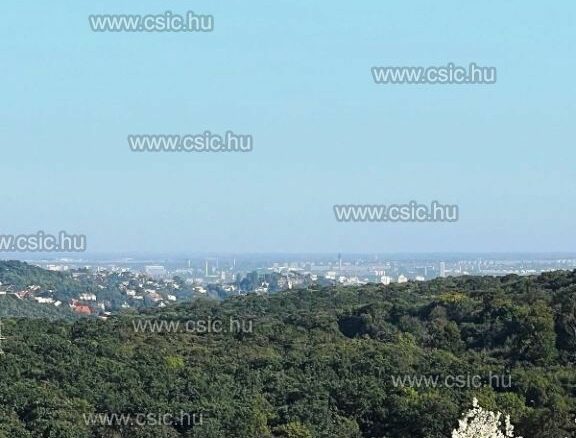 Semi-detached House With Panoramic Views In Budapest Ii A District Buda Hills