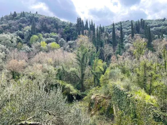 Land Of 91445 M² In Corfu