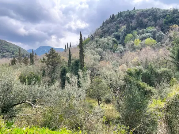 Land Of 91445 M² In Corfu