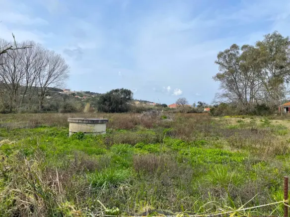 Land Of 7497 M² In Corfu