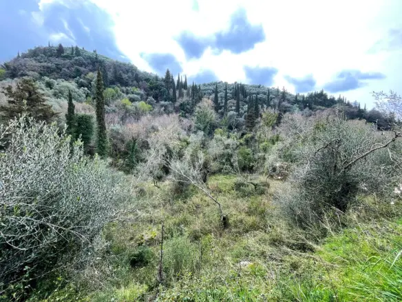 Land Of 91445 M² In Corfu