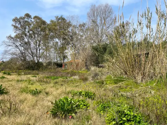 Land Of 7497 M² In Corfu
