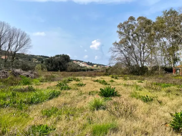 Land Of 7497 M² In Corfu