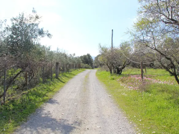Land Of 4010 M² On The Olympic Coast