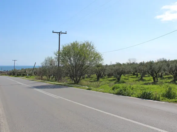 Land Of 4010 M² On The Olympic Coast
