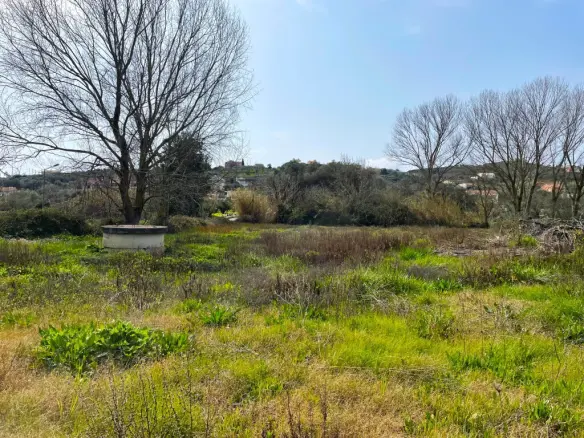 Land Of 7497 M² In Corfu